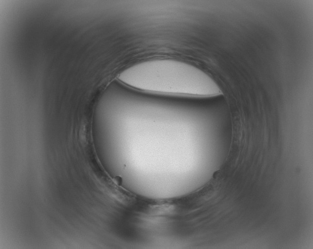 X0000062890266200601131025