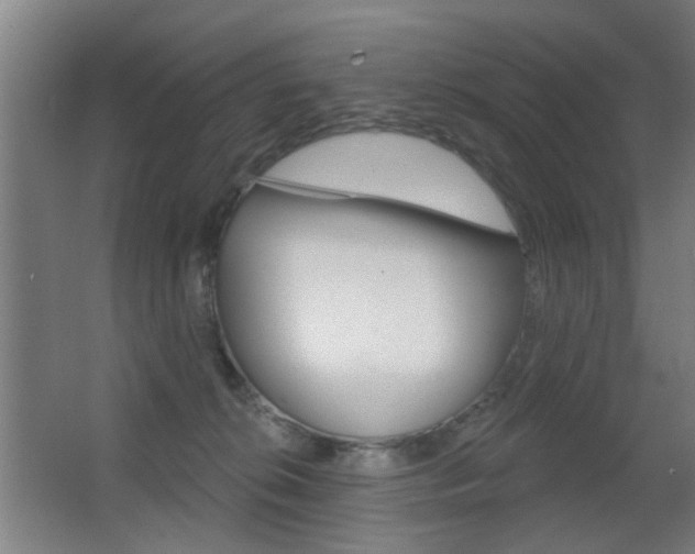 X0000062890276200601131025