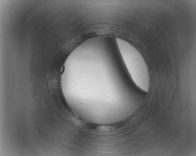X0000062890277200601131025