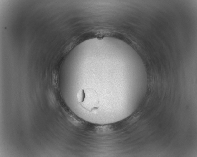 X0000062890281200601131025