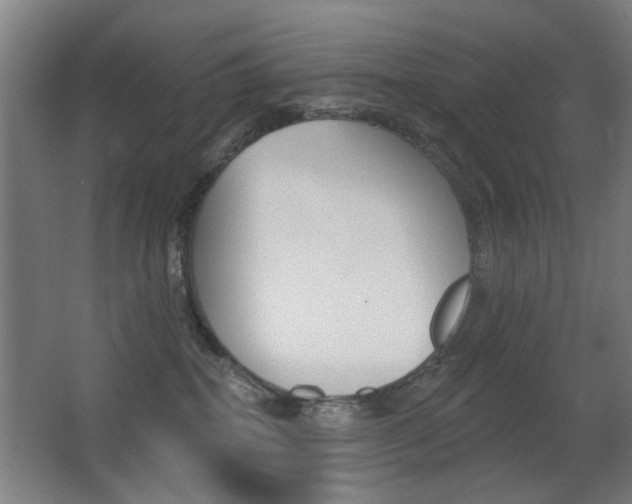 X0000062890282200601131025