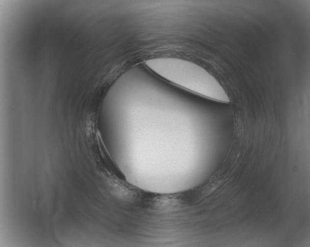 X0000062890284200601131025