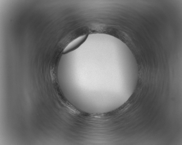 X0000062890285200601131025
