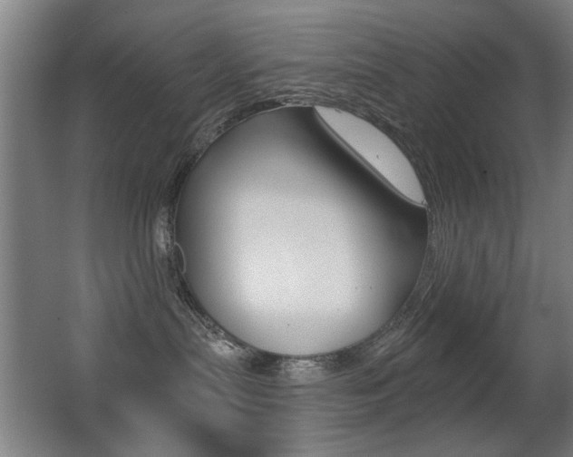 X0000062890287200601131025