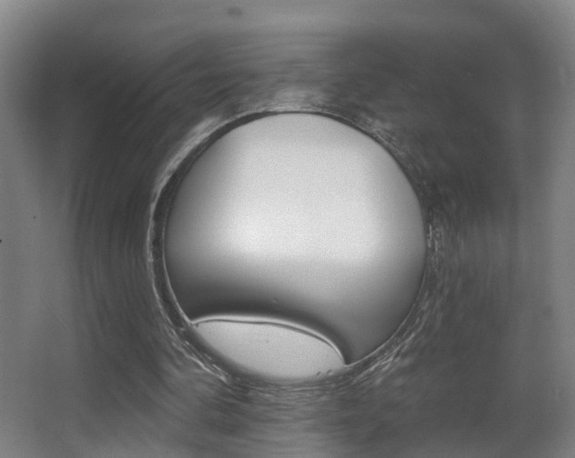 X0000062890292200601131024