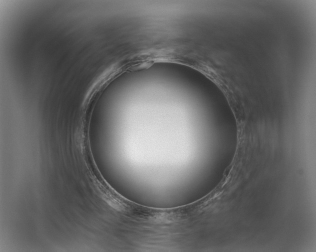 X0000062890293200601131024