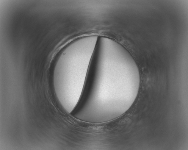 X0000062890295200601131024