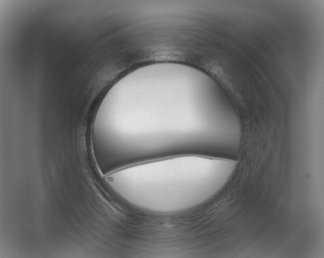 X0000062890299200601131024
