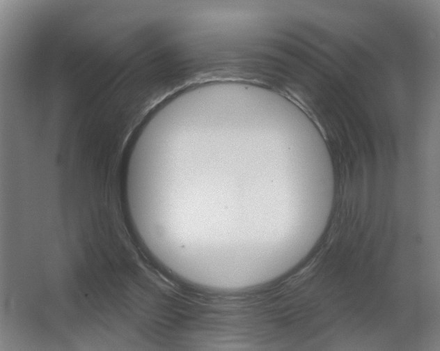 X0000062890301200601131024
