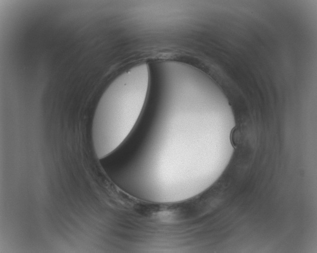 X0000062890312200601131024
