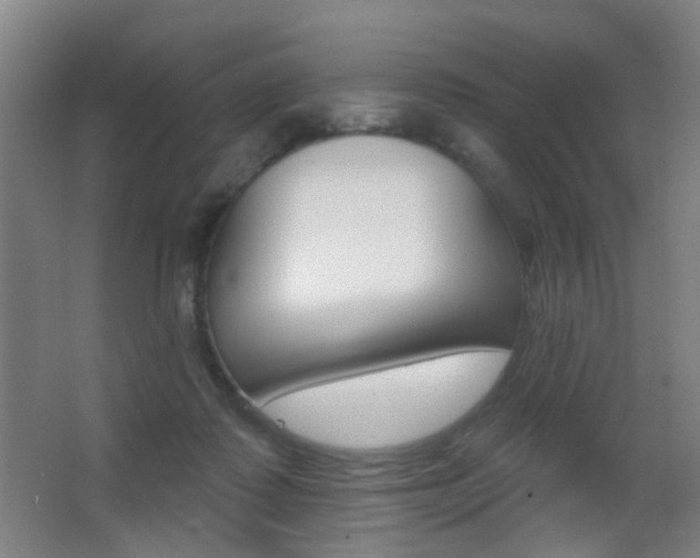 X0000062890315200601131024