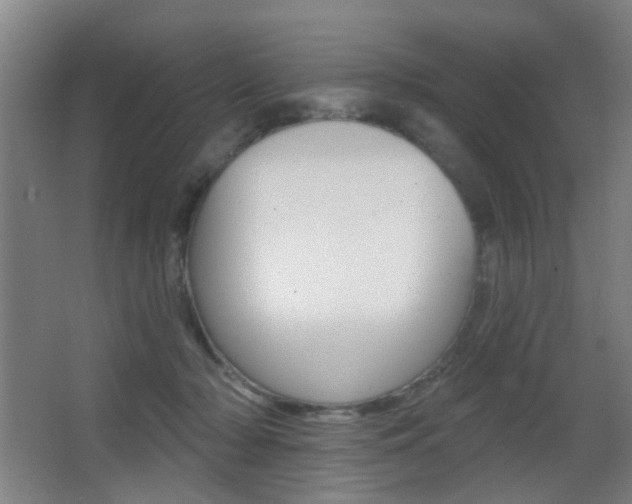 X0000062890318200601131024