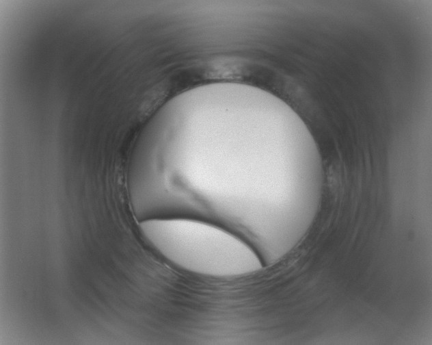X0000062890322200601131024