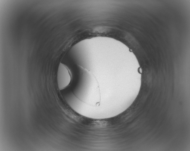 X0000062890328200601131023