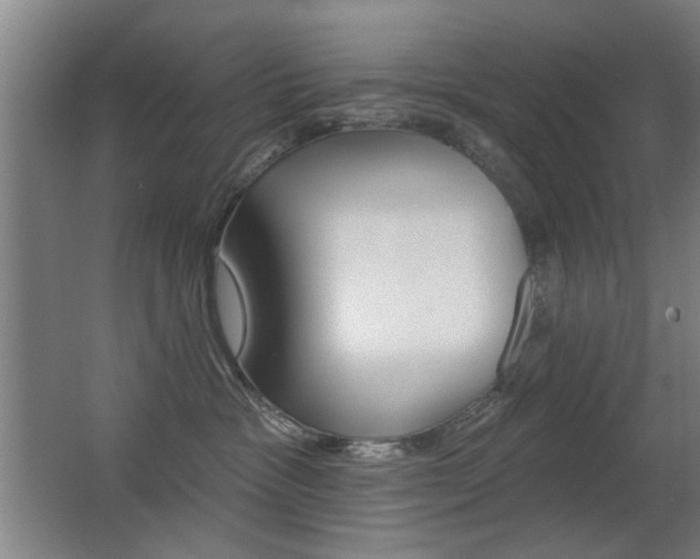 X0000062890333200601131023