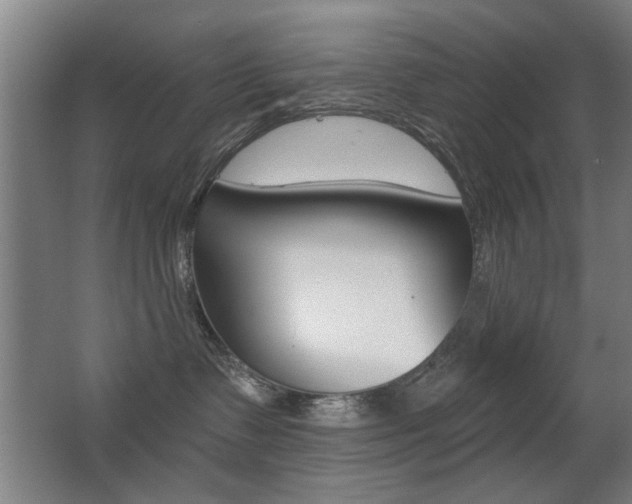X0000062890335200601131023