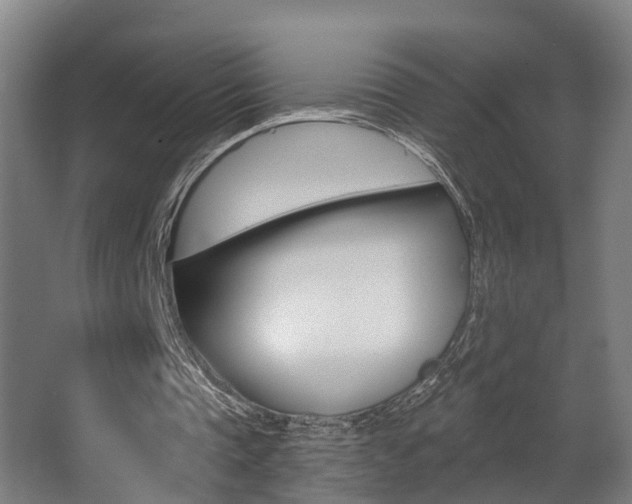 X0000062890337200601131022