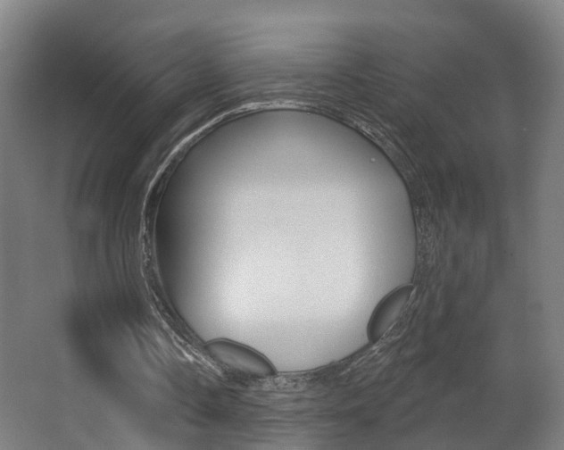 X0000062890338200601131023