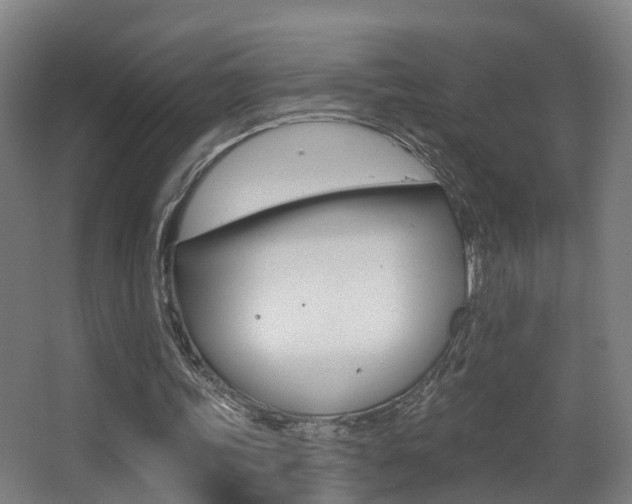 X0000062890339200601131023