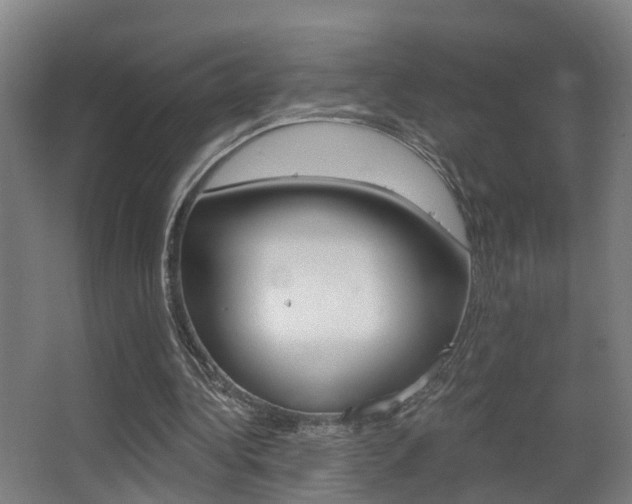 X0000062890340200601131023