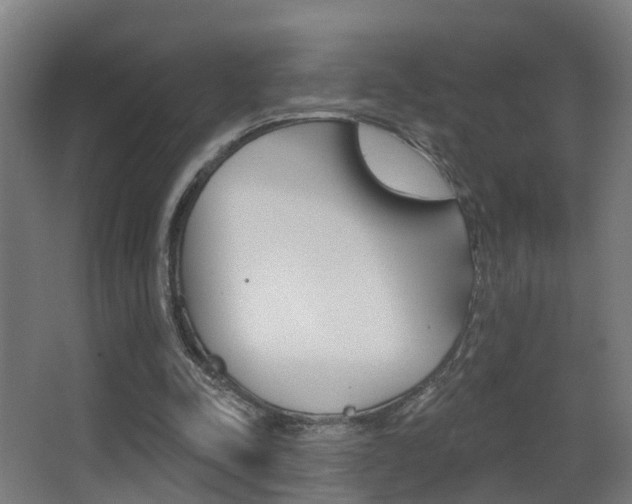 X0000062890342200601131023