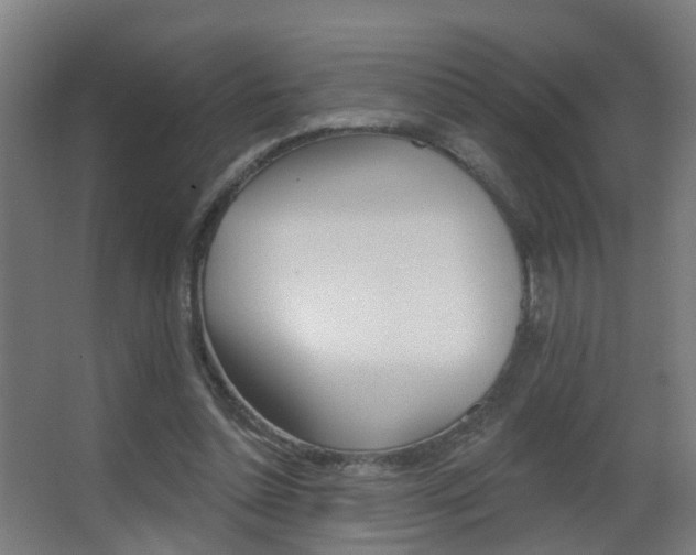 X0000062890348200601131023