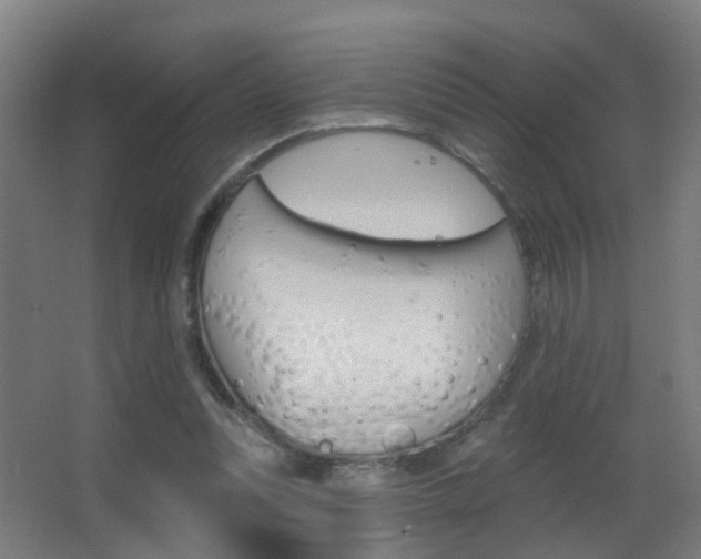 X0000062890351200601131023