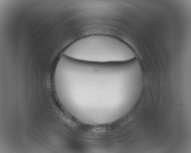 X0000062890353200601131023
