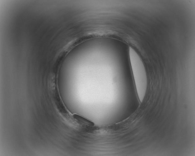 X0000062890356200601131023