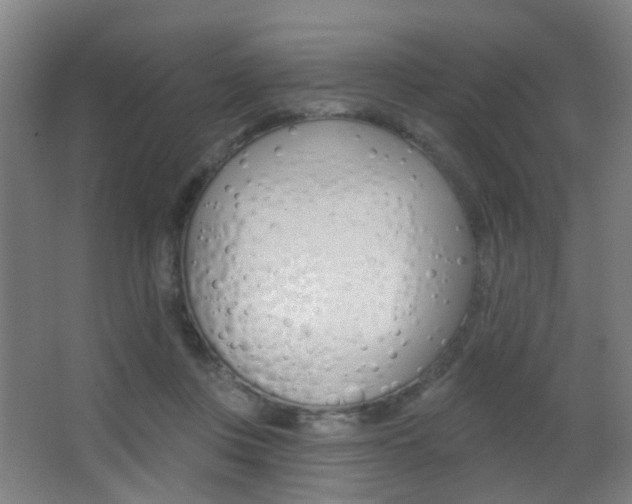 X0000062890359200601131023