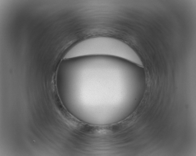 X0000062890360200601131023