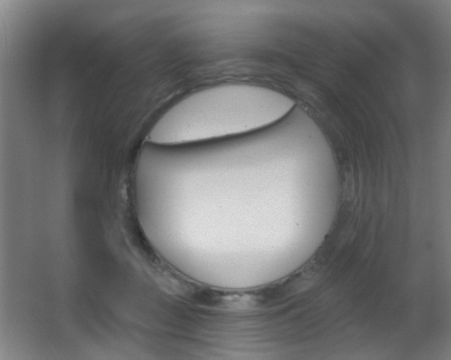 X0000062890363200601131023