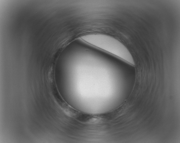 X0000062890364200601131023