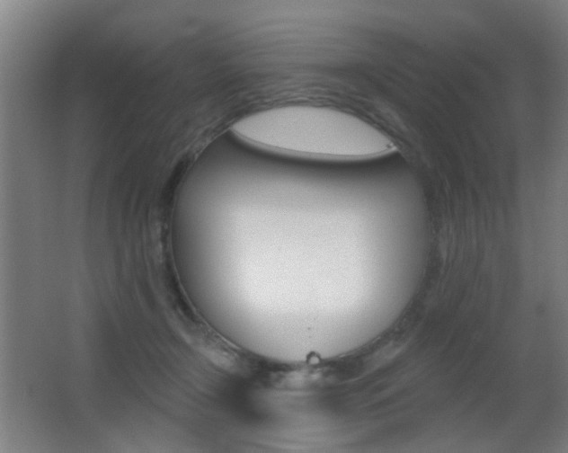 X0000062890366200601131023