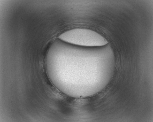 X0000062890367200601131023