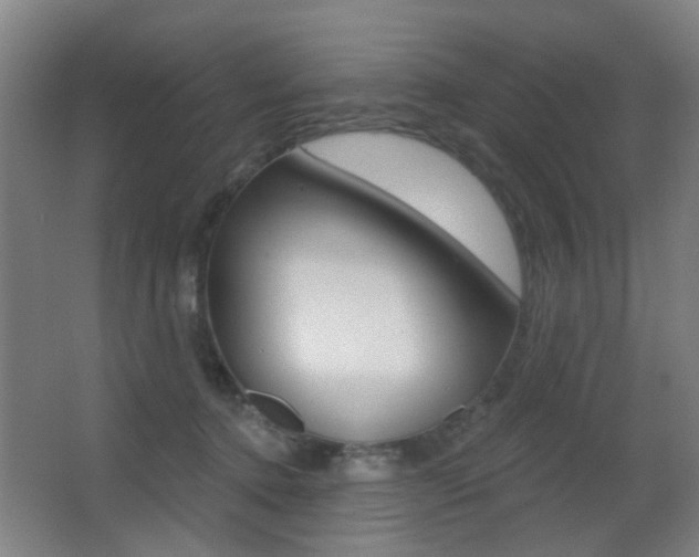 X0000062890368200601131023