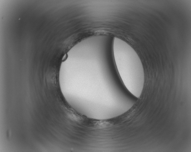 X0000062890379200601131023