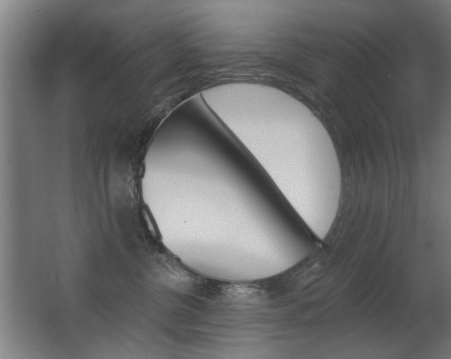 X0000062890380200601131023