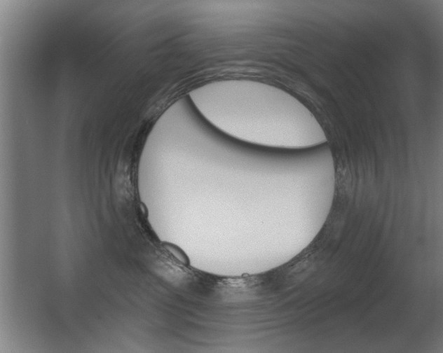 X0000062890381200601131023