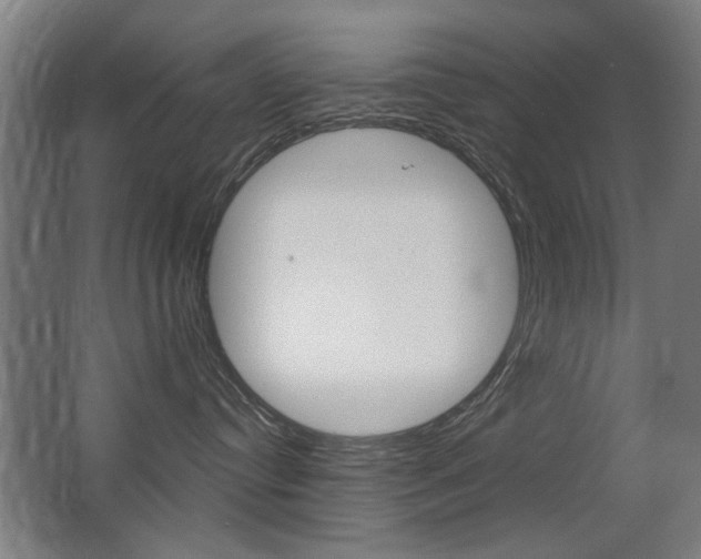 X0000062890384200601131023