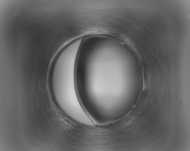 X0000062890387200601131022