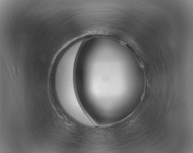 X0000062890388200601131022