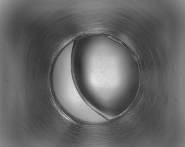 X0000062890389200601131022