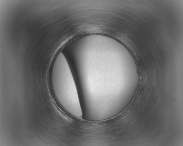 X0000062890390200601131022