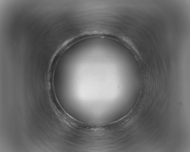 X0000062890395200601131022