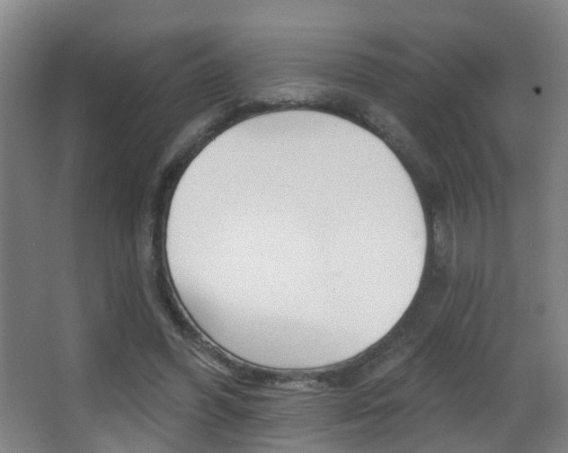 X0000062890396200601131022