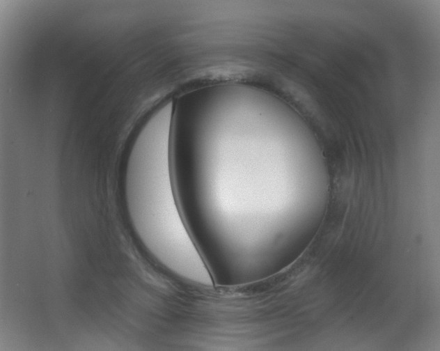 X0000062890403200601131022