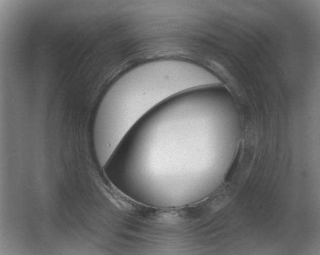X0000062890405200601131022
