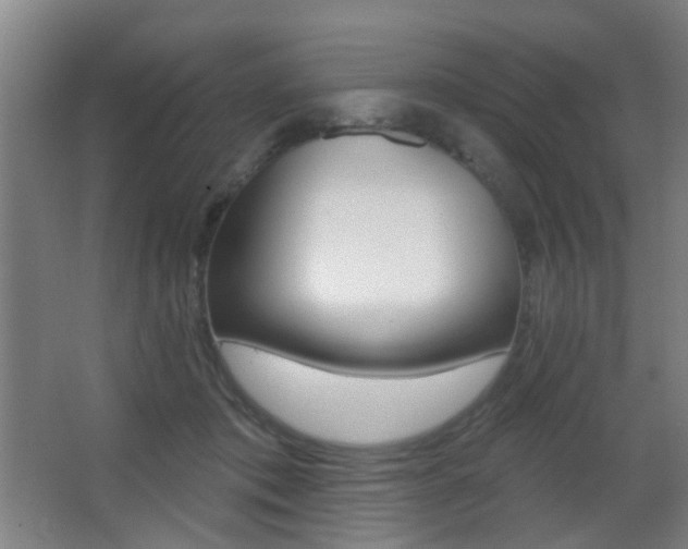 X0000062890413200601131022