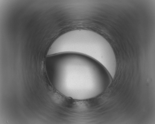 X0000062890417200601131022